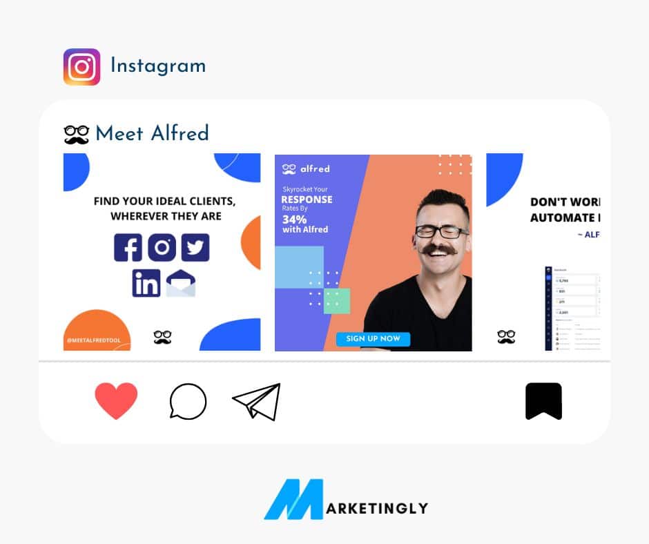 Meet Alfred on Instagram